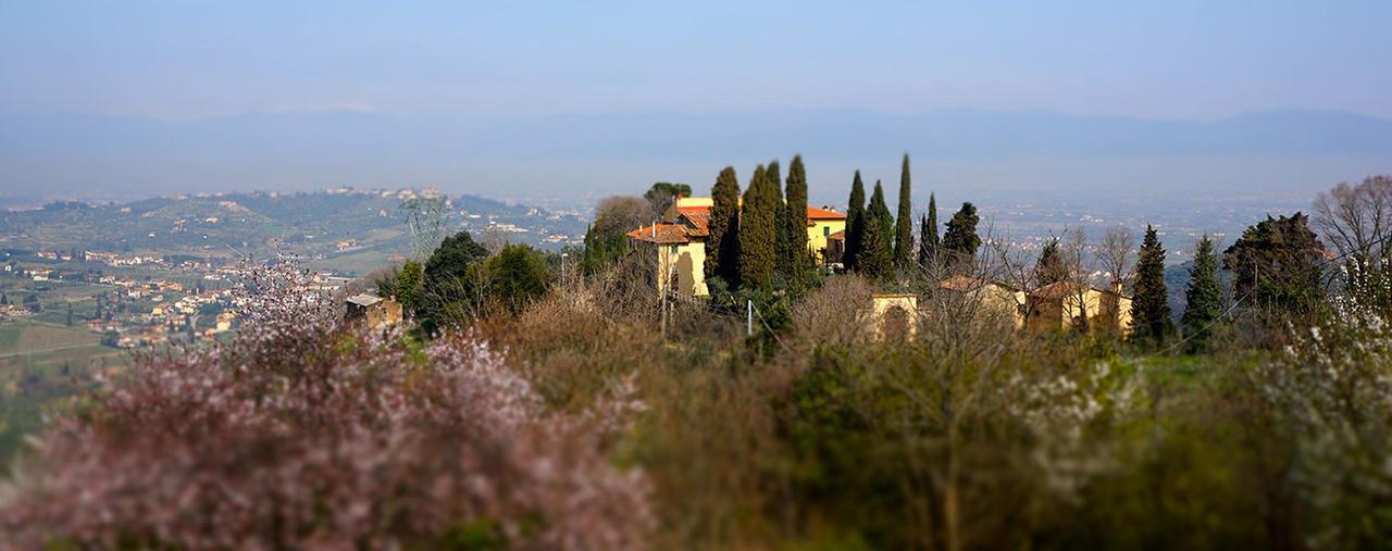 Agriturismo Frigionaia Carmignano Eksteriør bilde